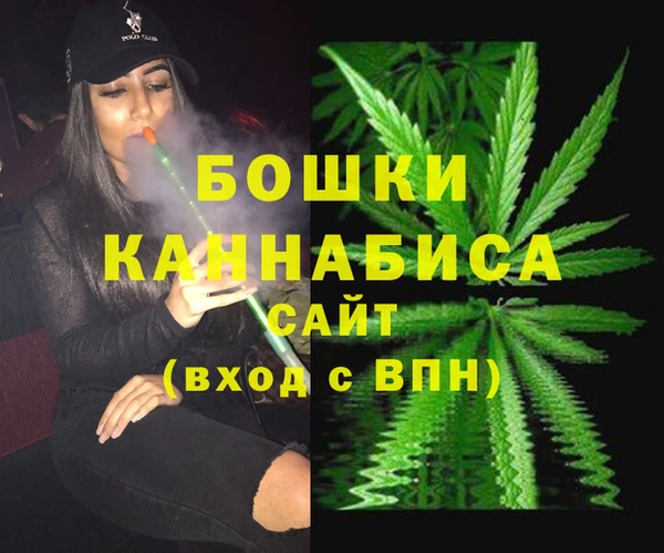 шишки Балахна